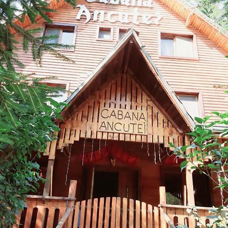 Cabana Ancutei Rucăr Buitenkant foto