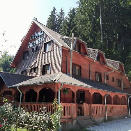 Cabana Ancutei Rucăr Buitenkant foto