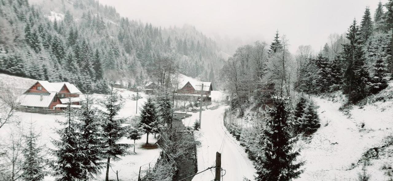 Cabana Ancutei Rucăr Buitenkant foto