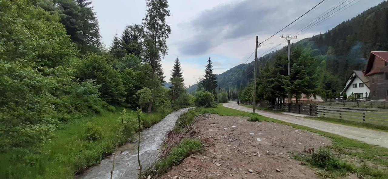 Cabana Ancutei Rucăr Buitenkant foto
