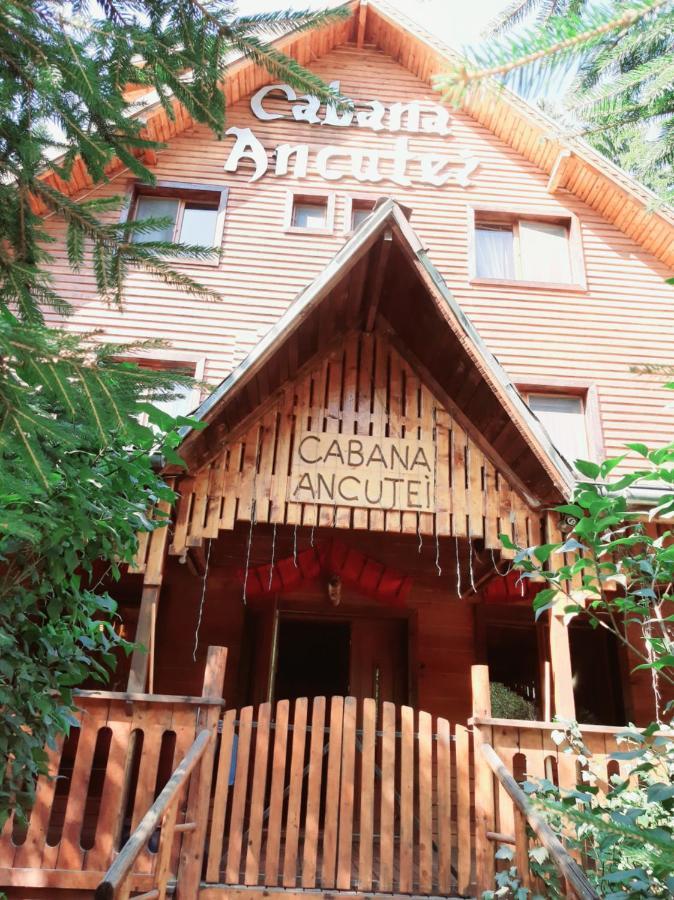 Cabana Ancutei Rucăr Buitenkant foto