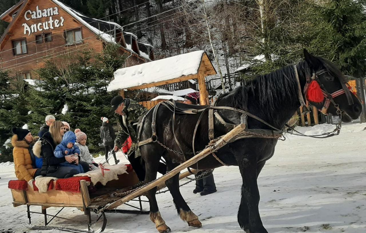 Cabana Ancutei Rucăr Buitenkant foto