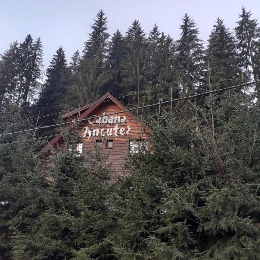 Cabana Ancutei Rucăr Buitenkant foto