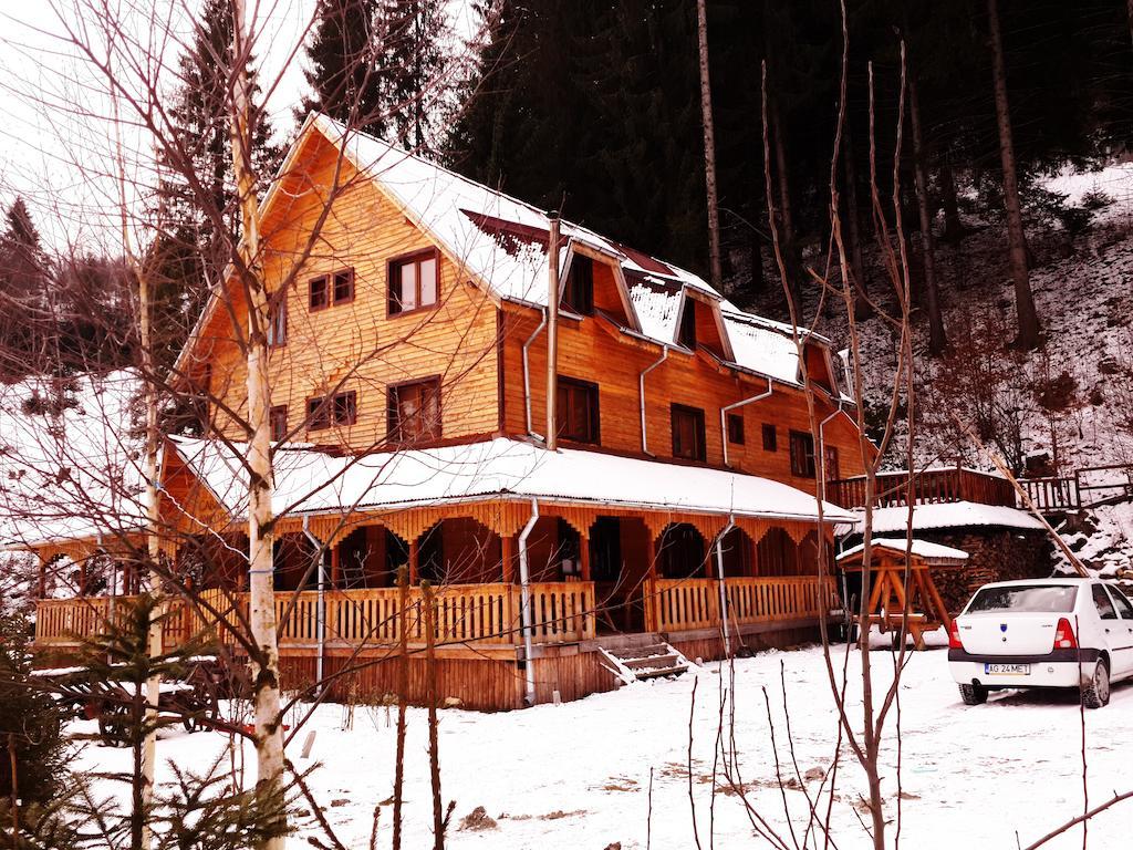 Cabana Ancutei Rucăr Buitenkant foto