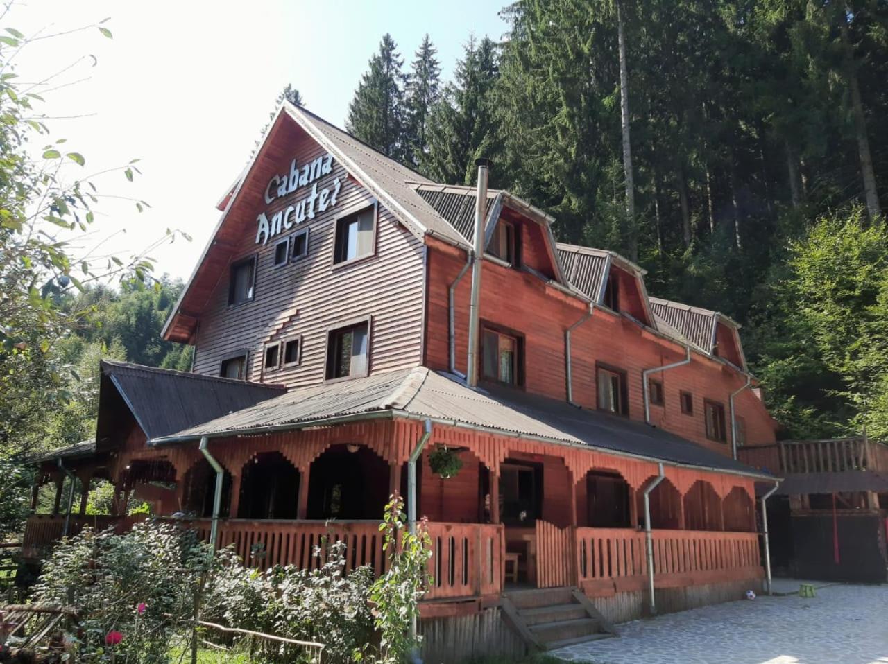Cabana Ancutei Rucăr Buitenkant foto