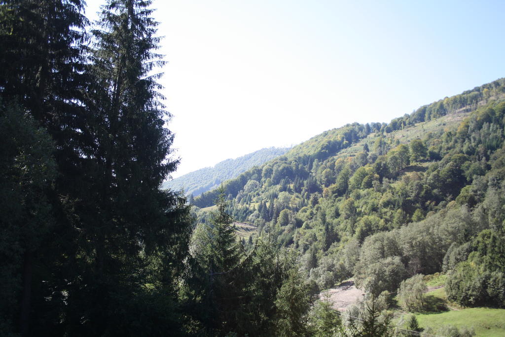 Cabana Ancutei Rucăr Buitenkant foto