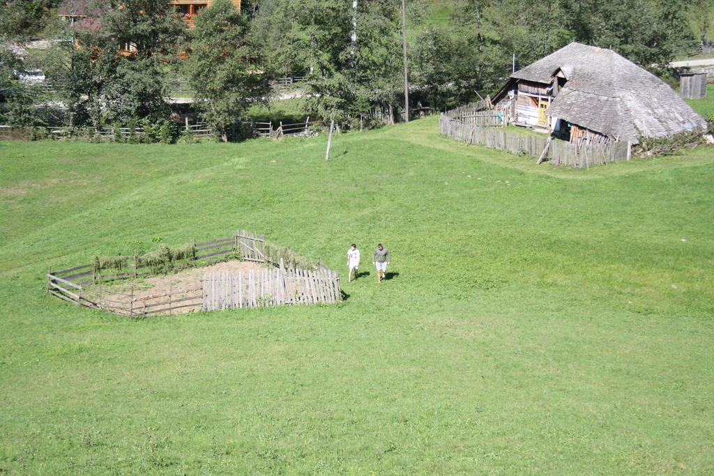 Cabana Ancutei Rucăr Buitenkant foto