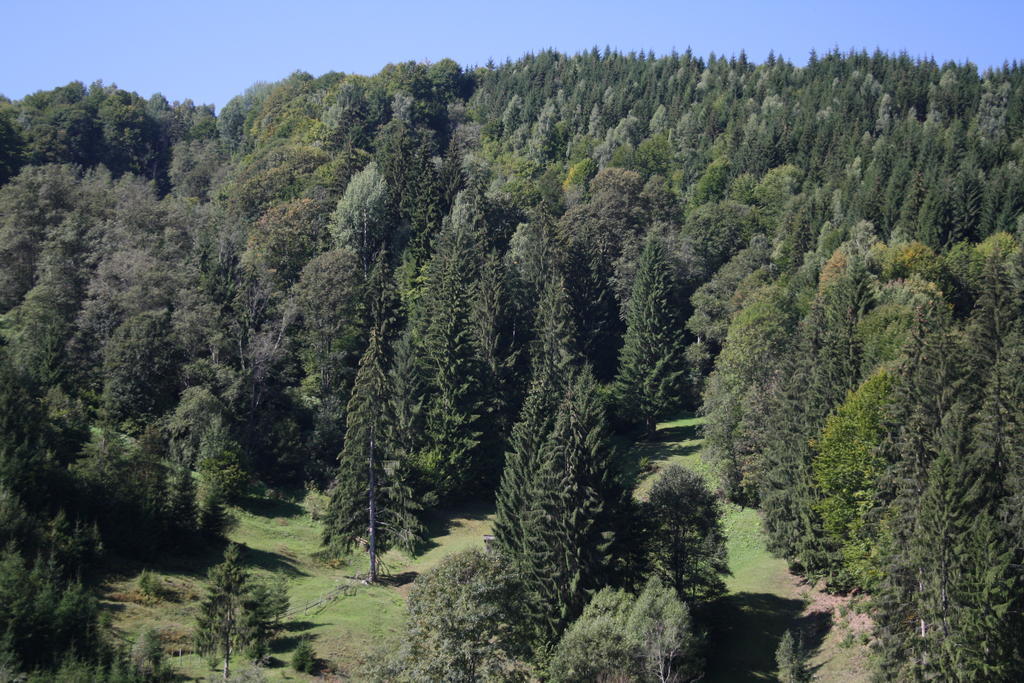 Cabana Ancutei Rucăr Buitenkant foto