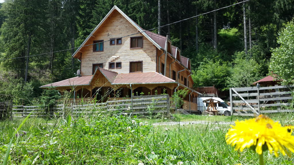 Cabana Ancutei Rucăr Buitenkant foto