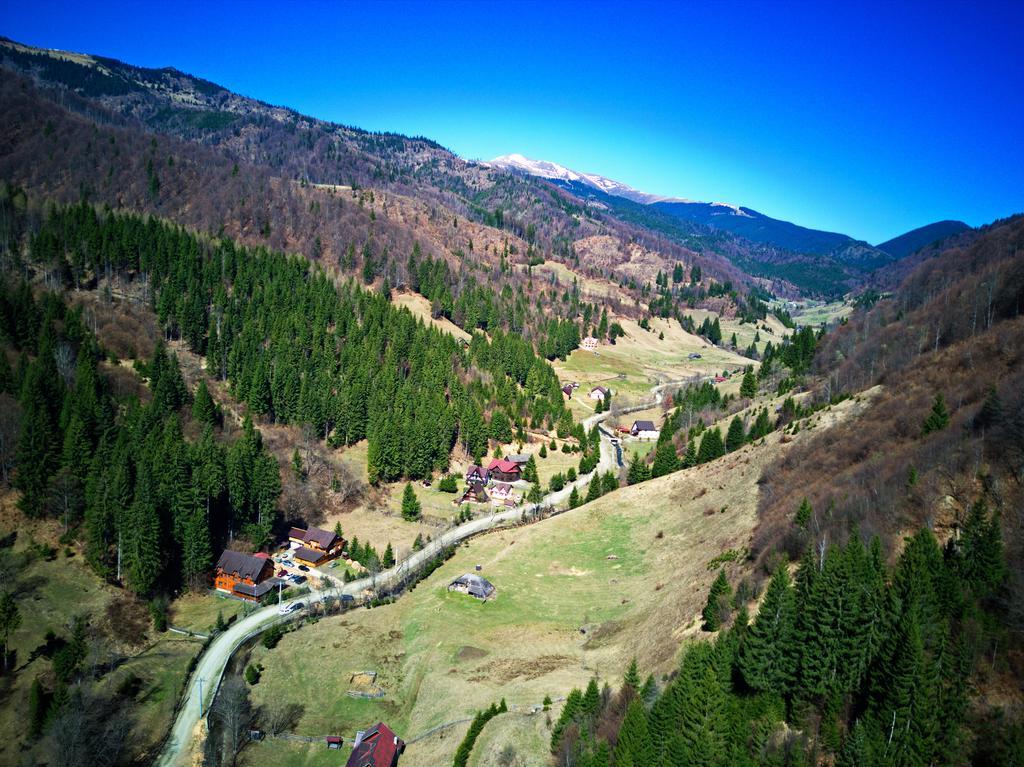 Cabana Ancutei Rucăr Buitenkant foto