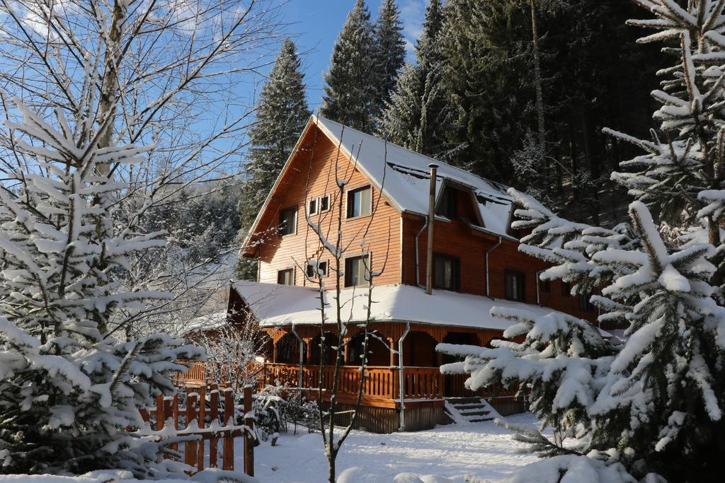 Cabana Ancutei Rucăr Buitenkant foto