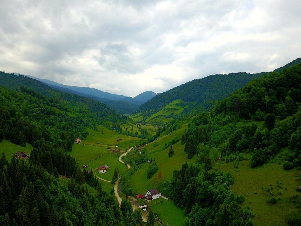 Cabana Ancutei Rucăr Buitenkant foto