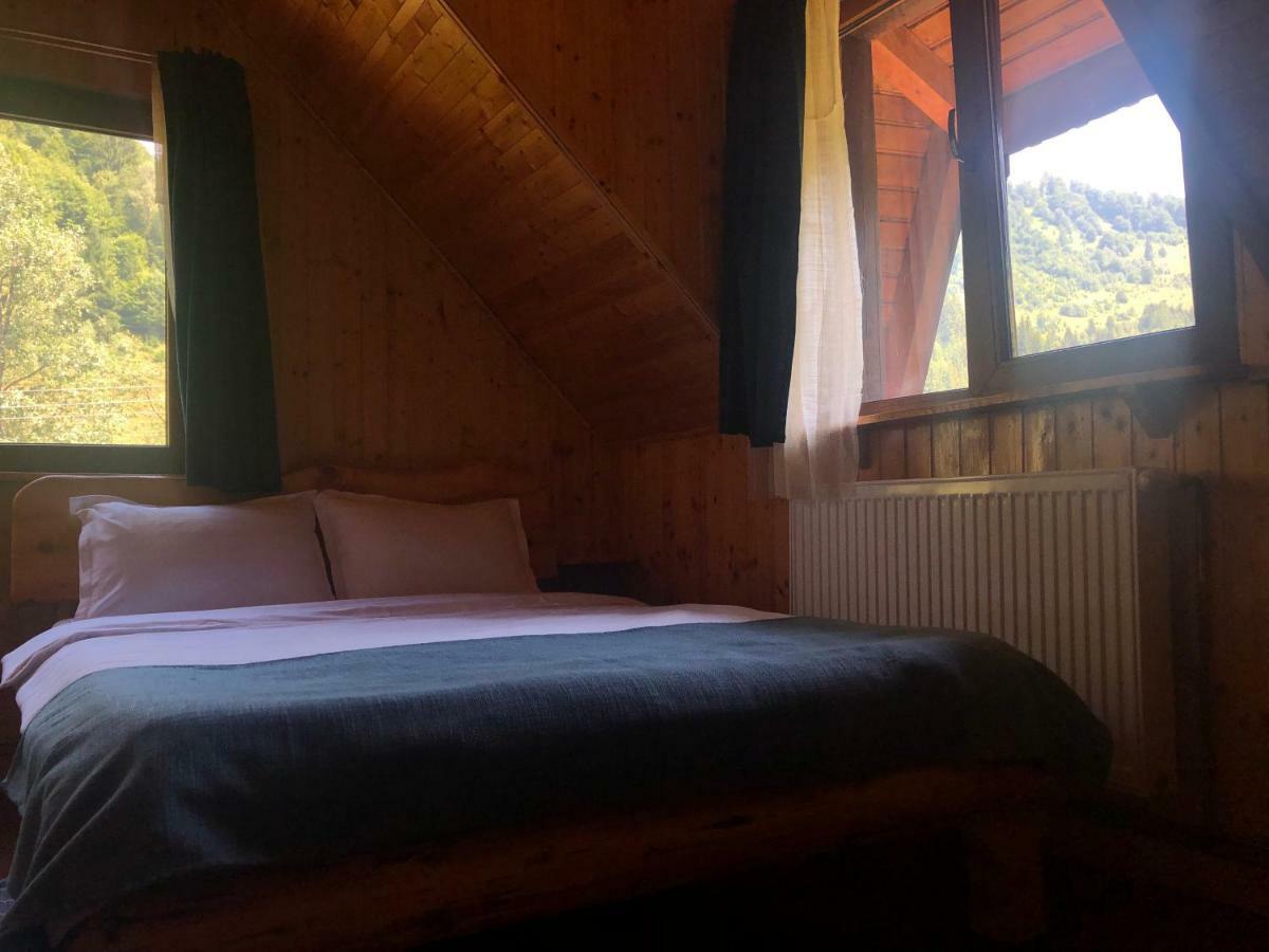 Cabana Ancutei Rucăr Buitenkant foto